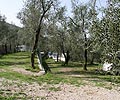 Campeggio San Zeno Lago di Garda