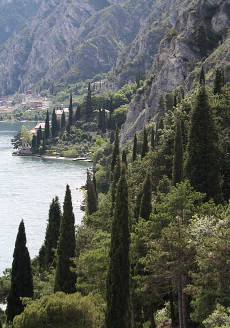 Gardasee Ufer in der naehe von Limone foto