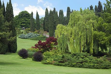 Gruene Parks Sigurta Gardasee foto