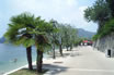 Uferpromenade Am Gardasee