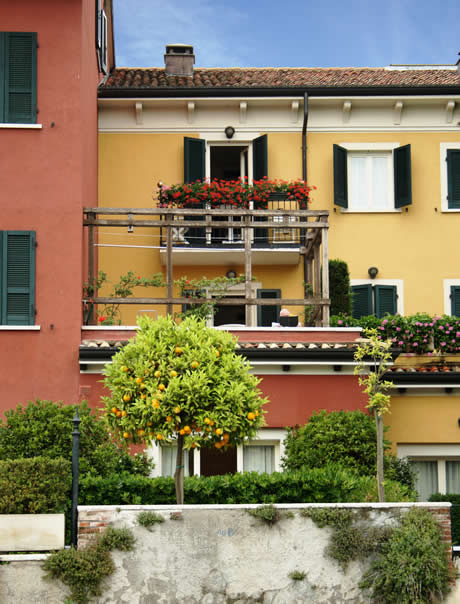 Zitronenbaum Sirmione am Gardasee foto