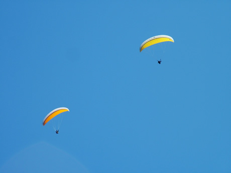 Paragliders on Garda lake photo
