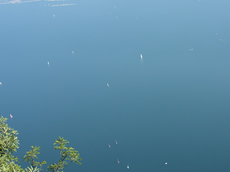 Sailing boats lake Garda photo