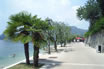 Waterfront Promenade Lake Garda